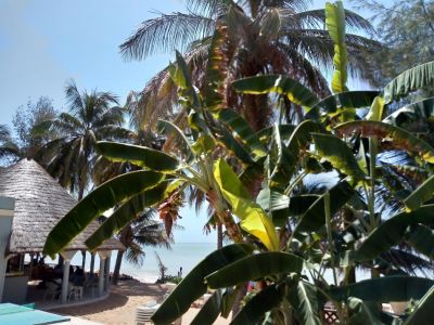AUBERGE TREIZEGUY - Hotel Sénégal
