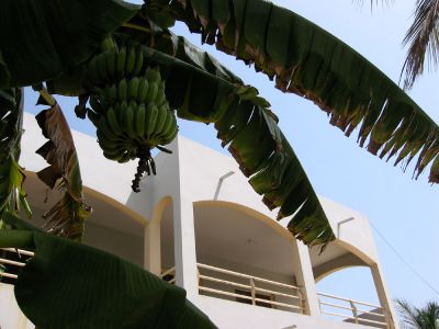 AUBERGE TREIZEGUY - Hotel Sénégal
