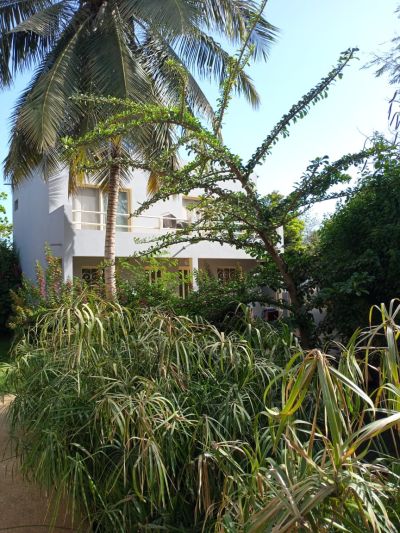 AUBERGE TREIZEGUY - Hotel Sénégal